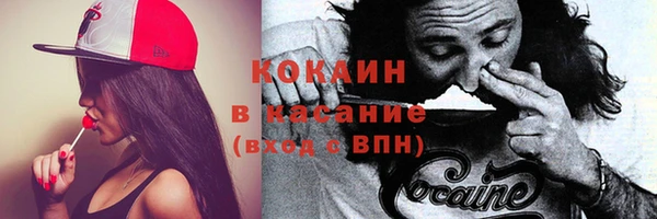прущие крисы Кодинск