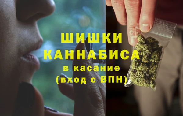 прущие крисы Кодинск