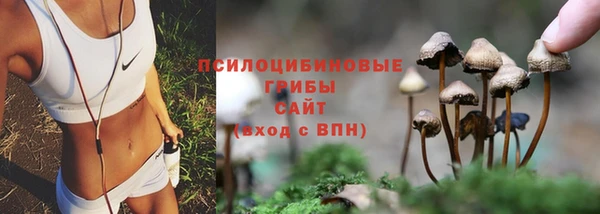 соль ск Козельск