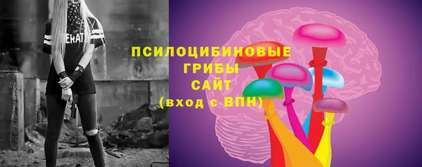 соль ск Козельск