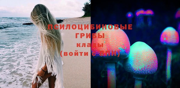 соль ск Козельск