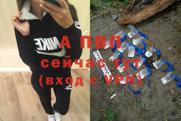 прущие крисы Кодинск