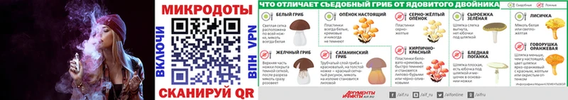 Псилоцибиновые грибы Psilocybe  Купить закладки  Краснообск 