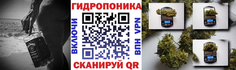 Конопля сатива  Купить  Краснообск 